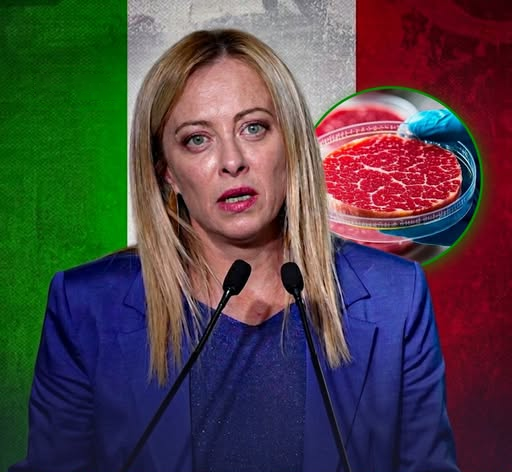 Italia u bë vendi i parë në botë që ndalon ushqimet sintetike  përfshirë mishin e kultivuar në laborator