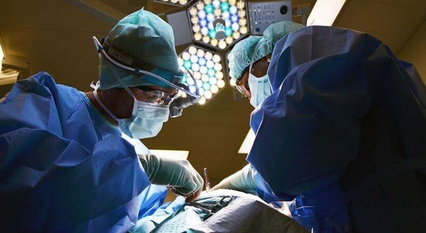 kina-kryen-transplantin-e-pare-ne-bote-te-melcise-dhe-veshkave-te-derrit-te-nje-pacient