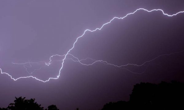 Rrufeja godet tufën me bagëti në Pogradec