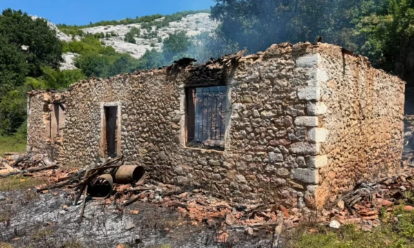 Shkodër  dyshohet se nëna 24 vjeçare vdiq bashkë me dy fëmijët e vegjël pasi zjarri kaploi shtëpinë