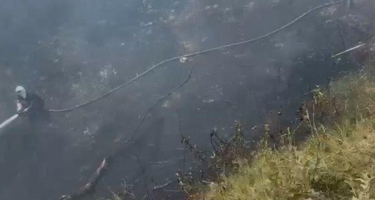 Zjarr në Vlorë  flakët përfshijnë sipërfaqe me bimësi  dyshohet se ishte i qëllimshëm