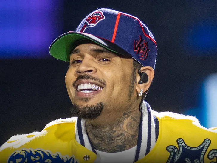 Chris Brown kap fansen për flokë  dhuron një performancë provokuese