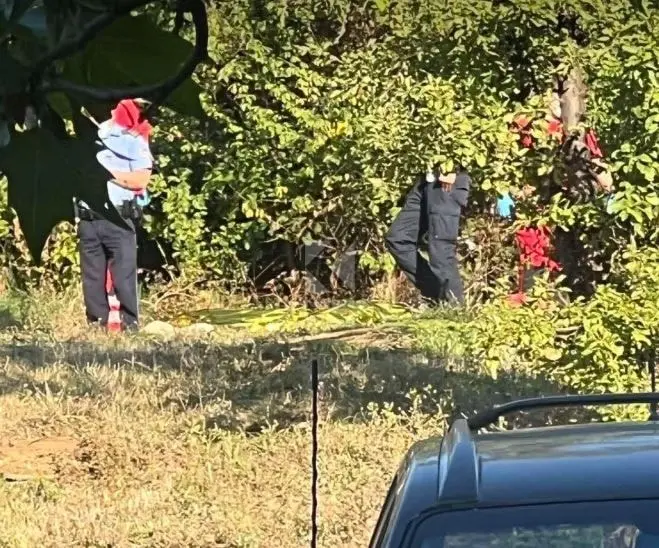 Gjendet pa shenja jete një person në  Breg të Diellit 