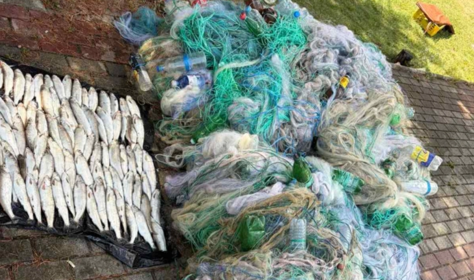 Sekuestrohen 4 mijë metra rrjeta dhe 116 9 kilogramë peshk në Strugë
