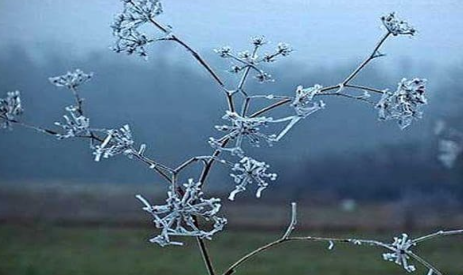  2°C  temperatura më e ulët e matur mëngjesin e sotëm në Maqedoni
